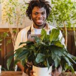 Happy florist with afro hair holding a potted peace lily plant indoors, wearing an apron.